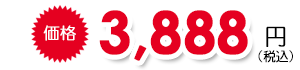 3,888円(税込)