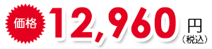 12,960円(税込)