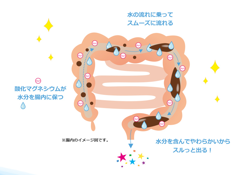 腸内のイメージ図