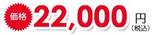 22,000円(税込)