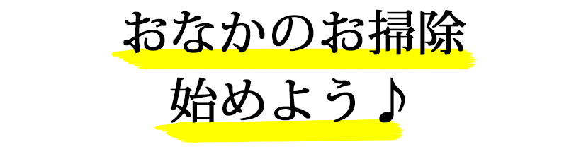 おなかのお掃除始めよう